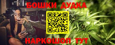индика Ликино-Дулёво