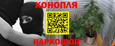 индика Ликино-Дулёво