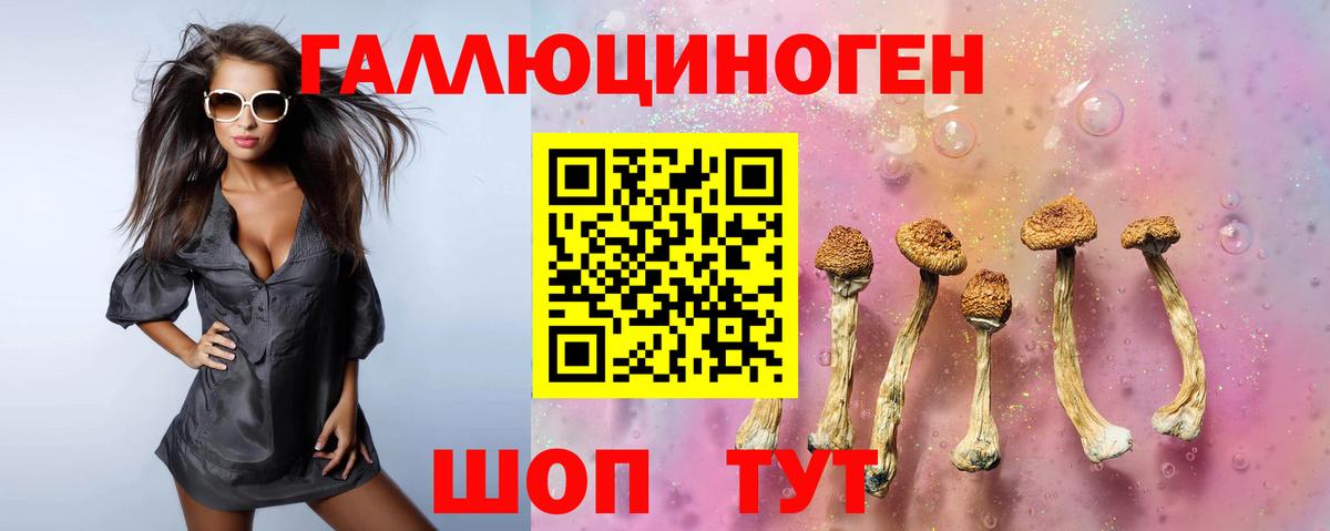 Топки  Псилоцибиновые грибы Psilocybe  Галлюциногенные грибы Psilocybine cubensis  Вход с VPN 